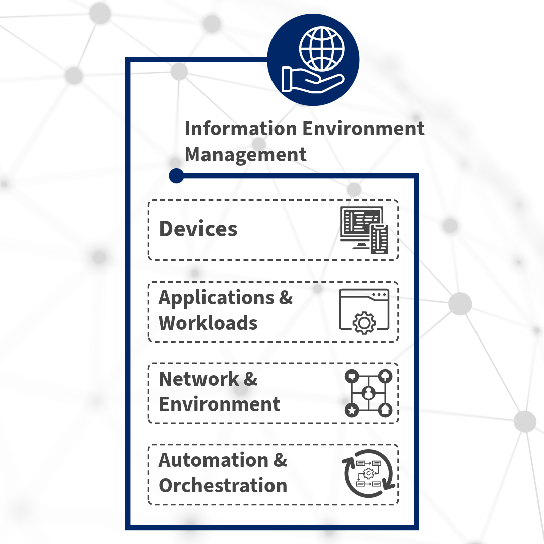 Information Environment Management